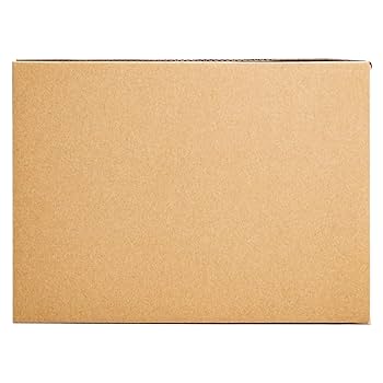 Amazon.co.jp: Andonstar ADSM302 5インチHDMI 1080Pデジタル